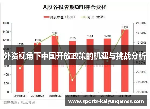 外资视角下中国开放政策的机遇与挑战分析