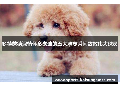 多特蒙德深情怀念泰迪的五大难忘瞬间致敬伟大球员