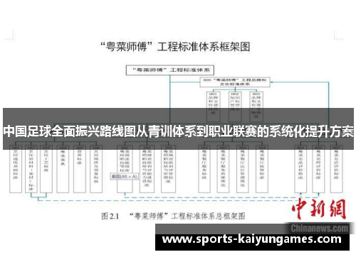 中国足球全面振兴路线图从青训体系到职业联赛的系统化提升方案