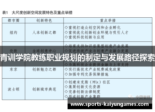青训学院教练职业规划的制定与发展路径探索
